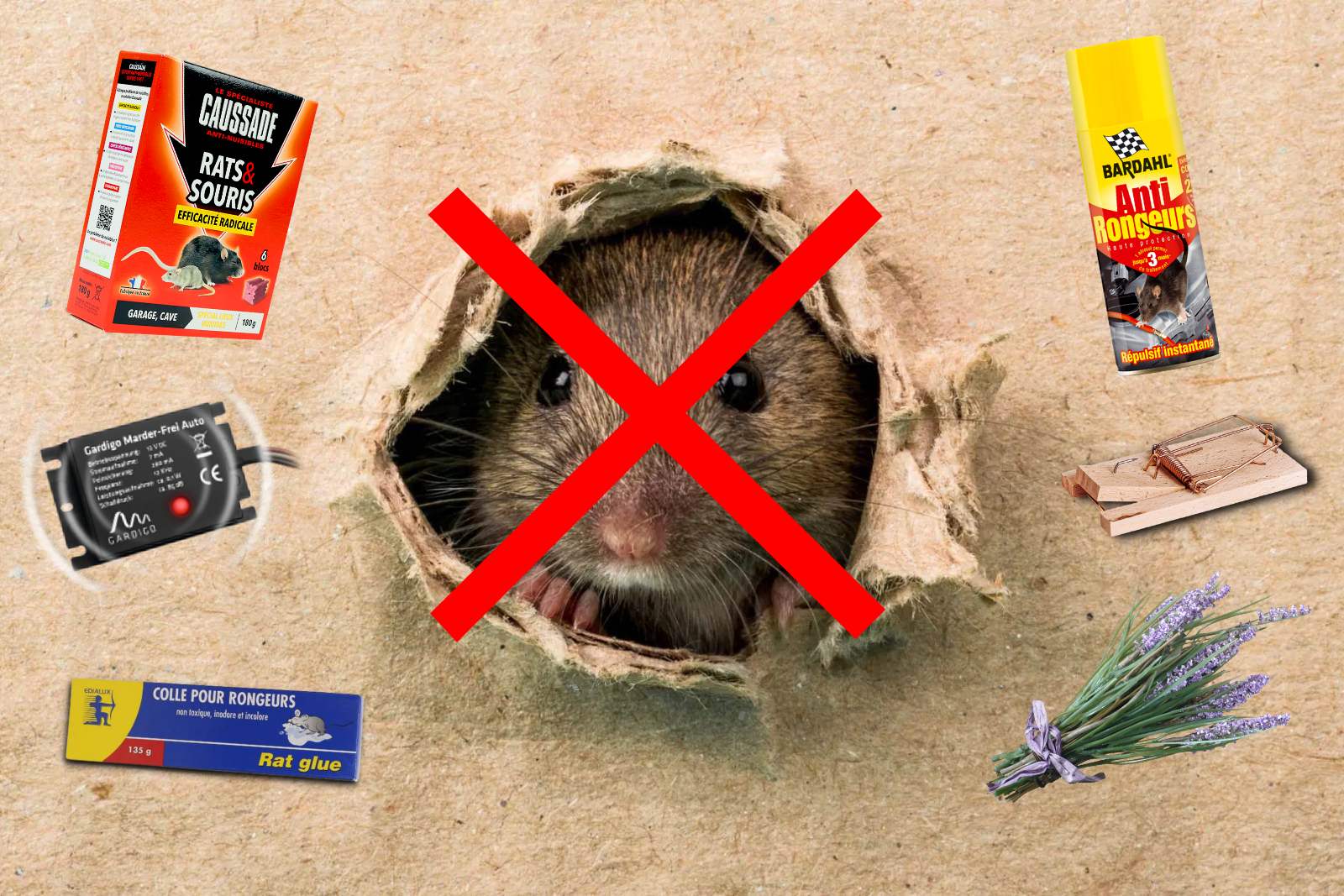 Anti-rats, souris et mulot céréales 5 x 25gr